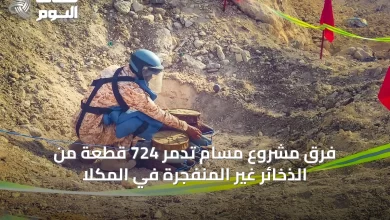 فرق-مشروع-مسام-تدمر-724-قطعة-من-الذخائر-غير-المنفجرة-في-المكلا