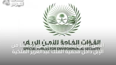 الأمن-البيئي-يضبط-شخصًا-يرعى-53-متنًا-من-الإبل-داخل-محمية-الملك-عبدالعزيز-الملكية