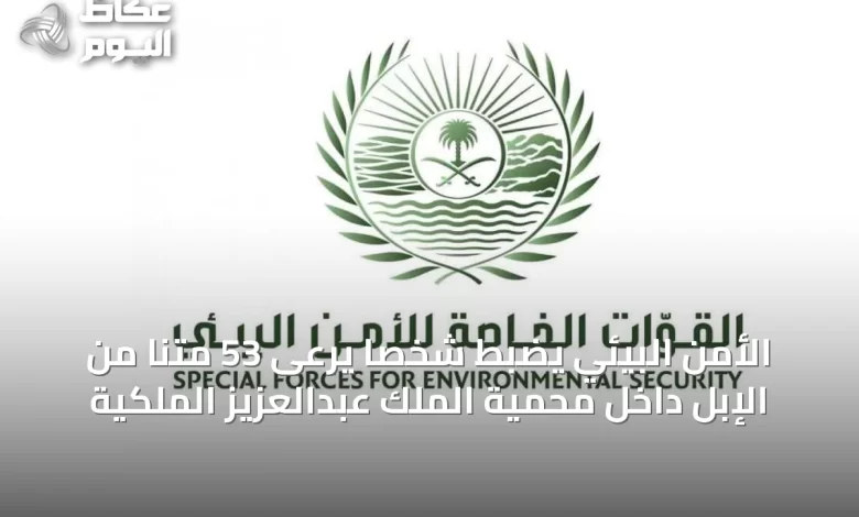الأمن-البيئي-يضبط-شخصًا-يرعى-53-متنًا-من-الإبل-داخل-محمية-الملك-عبدالعزيز-الملكية
