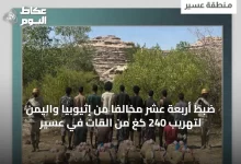 ضبط-أربعة-عشر-مخالفًا-من-إثيوبيا-واليمن-لتهريب-240-كغ-من-القات-في-عسير
