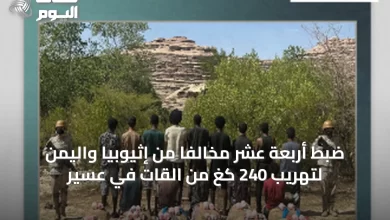 ضبط-أربعة-عشر-مخالفًا-من-إثيوبيا-واليمن-لتهريب-240-كغ-من-القات-في-عسير