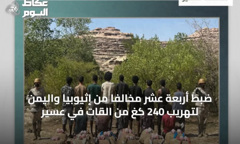 ضبط-أربعة-عشر-مخالفًا-من-إثيوبيا-واليمن-لتهريب-240-كغ-من-القات-في-عسير