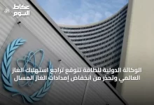 الوكالة-الدولية-للطاقة-تتوقع-تراجع-استهلاك-الغاز-العالمي-وتحذر-من-انخفاض-إمدادات-الغاز-المسال
