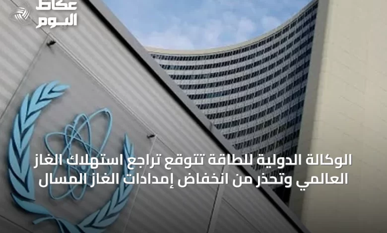 الوكالة-الدولية-للطاقة-تتوقع-تراجع-استهلاك-الغاز-العالمي-وتحذر-من-انخفاض-إمدادات-الغاز-المسال