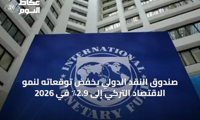 صندوق-النقد-الدولي-يخفض-توقعاته-لنمو-الاقتصاد-التركي-إلى-2.9٪-في-2026