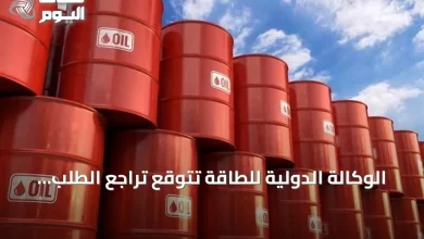الوكالة-الدولية-للطاقة-تتوقع-تراجع-الطلب-العالمي-على-النفط-في-2026-لأول-مرة-منذ-2020