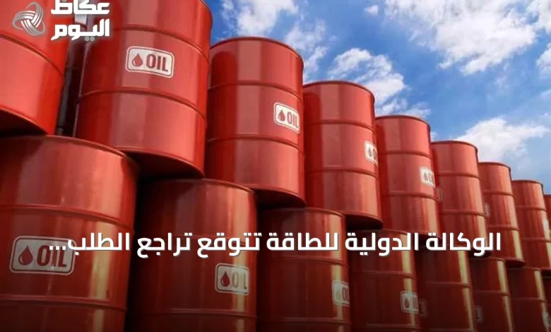 الوكالة-الدولية-للطاقة-تتوقع-تراجع-الطلب-العالمي-على-النفط-في-2026-لأول-مرة-منذ-2020