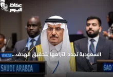 السعودية-تجدد-التزامها-بتحقيق-الهدف-السادس-للتنمية-المستدامة-في-منتدى-أممي-بنيويورك