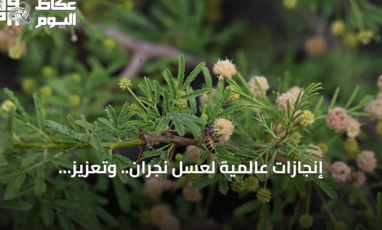 إنجازات-عالمية-لعسل-نجران.-وتعزيز-للاقتصاد-المحلي-عبر-منتجات-تحويلية