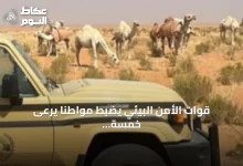 قوات-الأمن-البيئي-يضبط-مواطنًا-يرعى-خمسة-عشر-متناً-من-الإبل-في-محمية-الإمام-تركي-بن-عبدالله