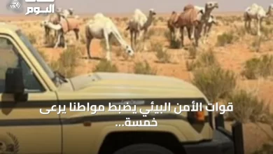 قوات-الأمن-البيئي-يضبط-مواطنًا-يرعى-خمسة-عشر-متناً-من-الإبل-في-محمية-الإمام-تركي-بن-عبدالله