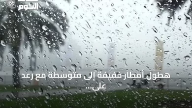 هطول-أمطار-خفيفة-إلى-متوسطة-مع-رعد-على-منطقة-الباحة
