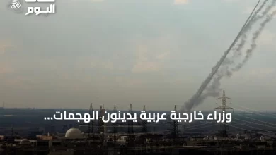 وزراء-خارجية-عربية-يدينون-الهجمات-الإيرانية-ويطالبون-بضمان-الملاحة-في-هرمز
