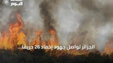 الجزائر-تواصل-جهود-إخماد-26-حريقًا-مشتعلًا-في-15-ولاية-أثناء-موجة-حر-شديدة