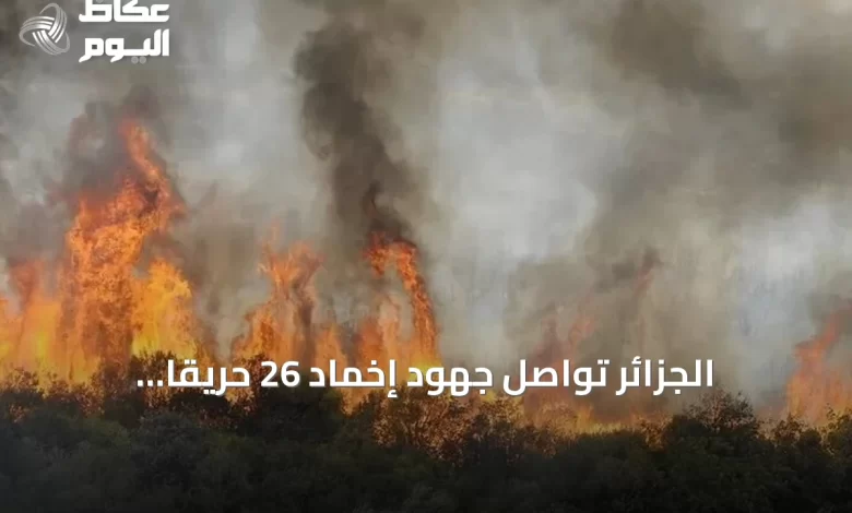 الجزائر-تواصل-جهود-إخماد-26-حريقًا-مشتعلًا-في-15-ولاية-أثناء-موجة-حر-شديدة