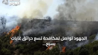 الجهود-تواصل-لمكافحة-تسع-حرائق-غابات-بسبع-ولايات-جزائرية