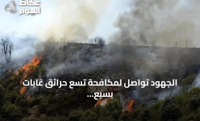 الجهود-تواصل-لمكافحة-تسع-حرائق-غابات-بسبع-ولايات-جزائرية