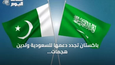 باكستان-تجدد-دعمها-للسعودية-وتدين-هجمات-الحوثي-في-الأمم-المتحدة