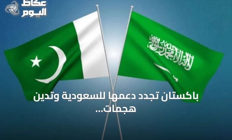 باكستان-تجدد-دعمها-للسعودية-وتدين-هجمات-الحوثي-في-الأمم-المتحدة