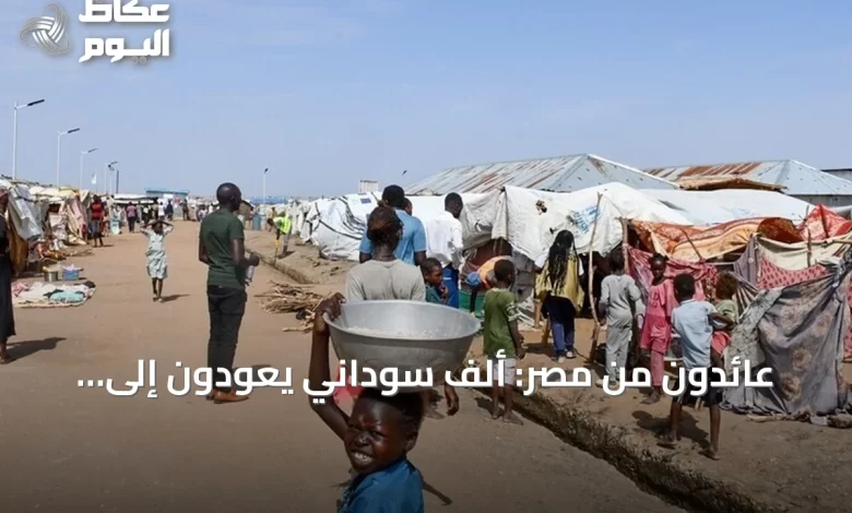 عائدون-من-مصر:-ألف-سوداني-يعودون-إلى-السودان-عبر-عشرين-حافلة-ضمن-برنامج-العودة-الطوعية