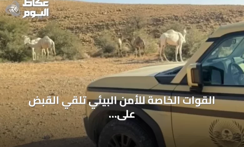 القوات-الخاصة-للأمن-البيئي-تلقي-القبض-على-مواطن-لنقل-حطب-محلي-بالمدينة-المنورة