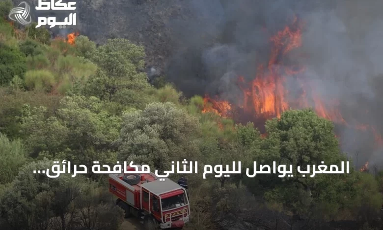 المغرب-يواصل-لليوم-الثاني-مكافحة-حرائق-غابات-التهمت-14-هكتاراً-في-الحوز
