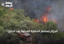 الجزائر-تستنفر-الحماية-المدنية-بعد-اندلاع-111-حريق-غابات-ومحاصيل