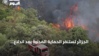 الجزائر-تستنفر-الحماية-المدنية-بعد-اندلاع-111-حريق-غابات-ومحاصيل