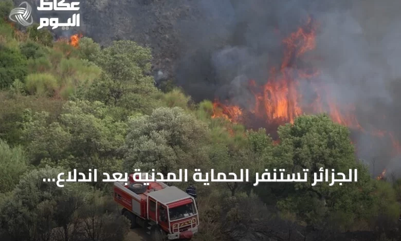 الجزائر-تستنفر-الحماية-المدنية-بعد-اندلاع-111-حريق-غابات-ومحاصيل