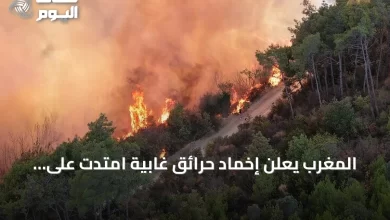 المغرب-يعلن-إخماد-حرائق-غابية-امتدت-على-115-هكتارًا