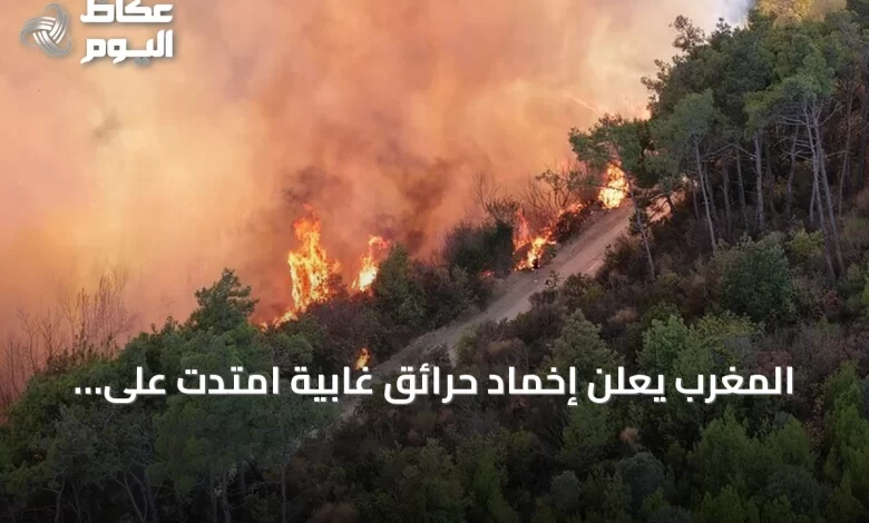 المغرب-يعلن-إخماد-حرائق-غابية-امتدت-على-115-هكتارًا