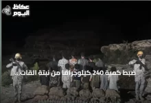 ضبط-كمية-240-كيلوجرامًا-من-نبتة-القات-وإيقاف-أربعة-عشر-مشتبهًا-في-قطاع-الربوعة