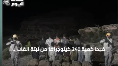 ضبط-كمية-240-كيلوجرامًا-من-نبتة-القات-وإيقاف-أربعة-عشر-مشتبهًا-في-قطاع-الربوعة
