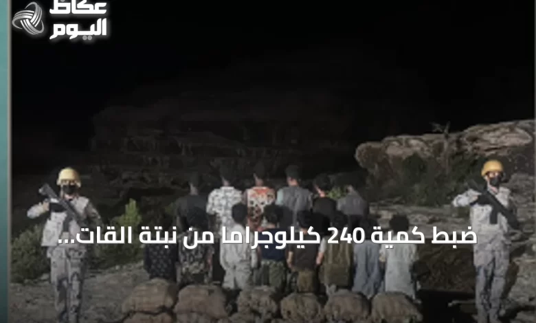 ضبط-كمية-240-كيلوجرامًا-من-نبتة-القات-وإيقاف-أربعة-عشر-مشتبهًا-في-قطاع-الربوعة
