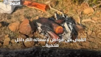 القبض-على-مواطن-لإشعاله-النار-داخل-محمية-الإمام-فيصل-بن-تركي-وغرامة-تصل-إلى-3-آلاف-ريال