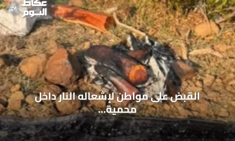 القبض-على-مواطن-لإشعاله-النار-داخل-محمية-الإمام-فيصل-بن-تركي-وغرامة-تصل-إلى-3-آلاف-ريال