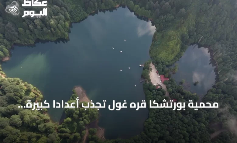 محمية-بورتشكا-قره-غول-تجذب-أعداداً-كبيرة-من-الزوار-خلال-موسم-الصيف