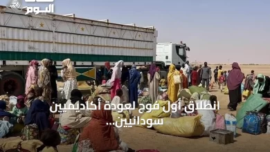 انطلاق-أول-فوج-لعودة-أكاديميين-سودانيين-وأسرهم-من-مصر-ضمن-برنامج-العودة-الطوعية