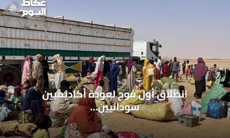 انطلاق-أول-فوج-لعودة-أكاديميين-سودانيين-وأسرهم-من-مصر-ضمن-برنامج-العودة-الطوعية