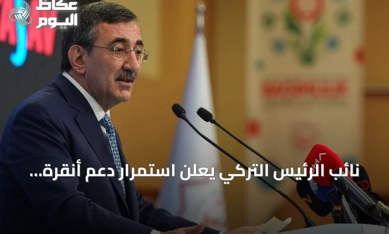 نائب-الرئيس-التركي-يعلن-استمرار-دعم-أنقرة-لقبرص-التركية-ويؤكد-على-حقوق-القبارصة-الأتراك