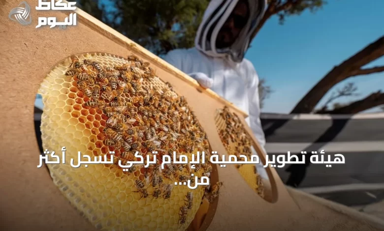 هيئة-تطوير-محمية-الإمام-تركي-تسجل-أكثر-من-11-ألف-خلية-نحل-في-موسمي-الطلح-والسدر