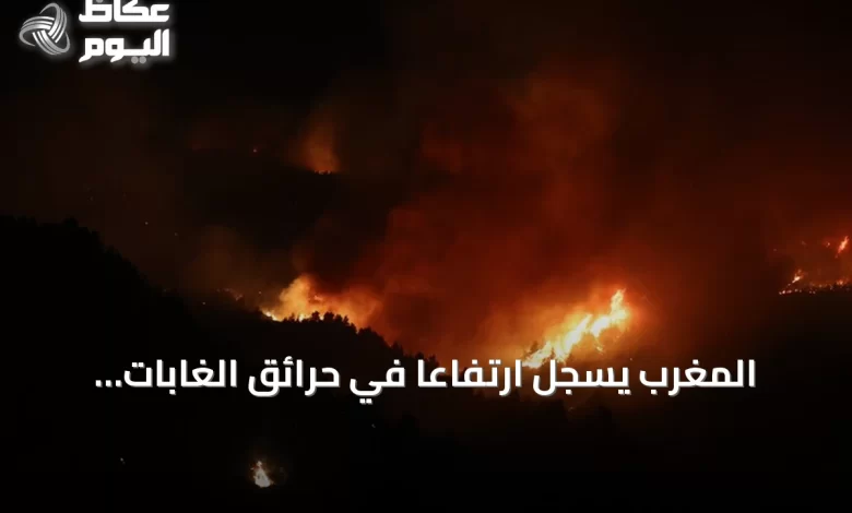 المغرب-يسجل-ارتفاعًا-في-حرائق-الغابات-وتراجعًا-في-المساحات-المتضررة