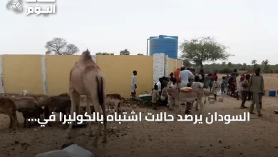 السودان-يرصد-حالات-اشتباه-بالكوليرا-في-أربع-ولايات-amid-تفاقم-الأزمة