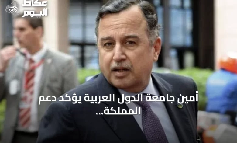 أمين-جامعة-الدول-العربية-يؤكد-دعم-المملكة-أمام-تهديدات-الحوثي
