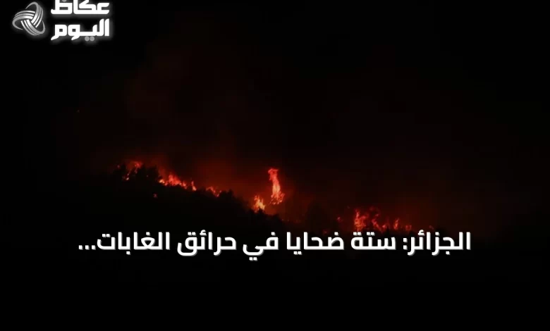 الجزائر:-ستة-ضحايا-في-حرائق-الغابات-المستمرة-منذ-أسبوعين