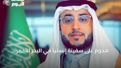 هجوم-على-سفينة-إنسليا-في-البحر-الأحمر-يثير-مخاوف-أمن-الملاحة