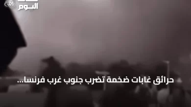 حرائق-غابات-ضخمة-تضرب-جنوب-غرب-فرنسا-وتؤدي-لإجلاء-السكان-وإطلاق-الخيول