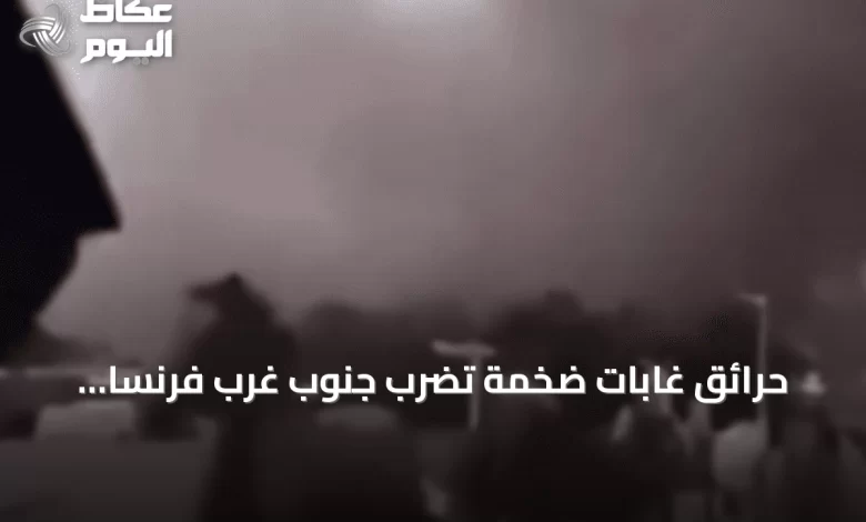 حرائق-غابات-ضخمة-تضرب-جنوب-غرب-فرنسا-وتؤدي-لإجلاء-السكان-وإطلاق-الخيول