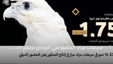 مبيعات-مزاد-الصقور-في-الرياض-ترتفع-23%-وتجذب-مشاركة-دولية-واسعة