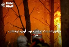 حرائق-الغابات-تحاصر-جنوب-أوروبا-وتقترب-من-مدينة-بوردو-الفرنسية